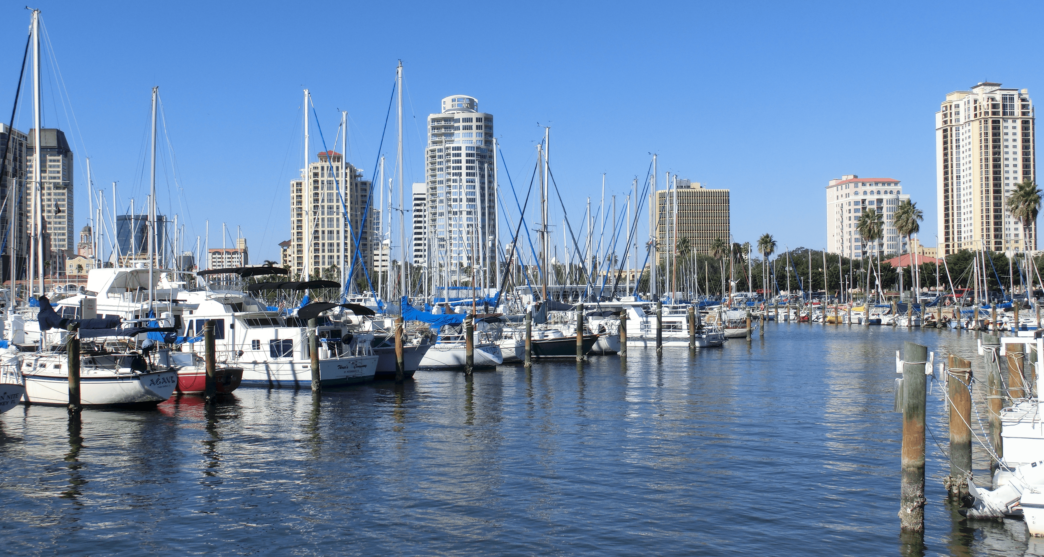 Tampa, Saint Petersburg e Clearwater - As belezas naturais e artísticas da costa oeste da Flórida