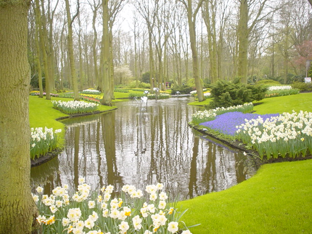 Keukenhof, na Holanda: o maior jardim de flores do mundo